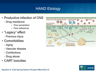 Central Nervous System Penetration of ARVs: Does it Matter? by Christina M. Marra, MD Central Nervous System Penetration of ARVs: Does it Matter?