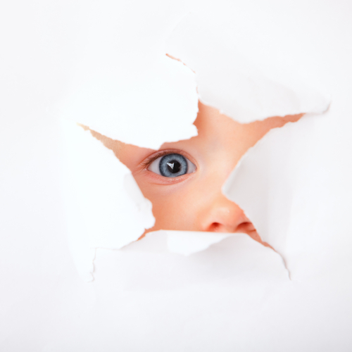 shutterstock_31530031