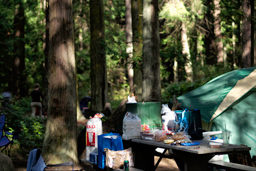 Camp