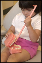 Girl brushing practice set of teeth