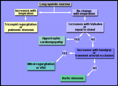 Murmur Analysis with Dynamic Auscultation