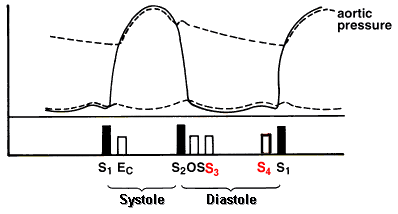 Diagram of S3 S4 heart sounds during systole and diastole.