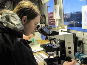 Researcher peers into microscope