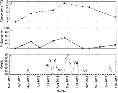 Graph showing monthly variation of water temperature, excystement, and cell count in Quartermaster Harbor over one year