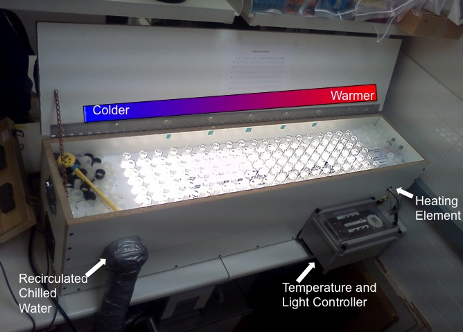 An apparatus called a temperature gradient bar (TGB)