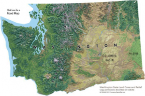 Legal Name Change In Wa State Q Center