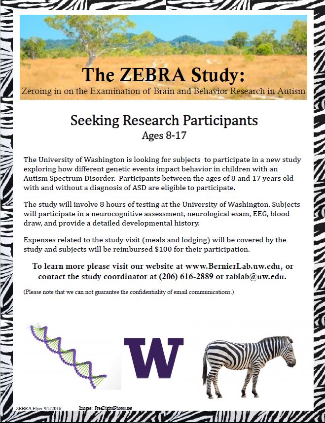 ZEBRA flyer in JPEG 9.1.16