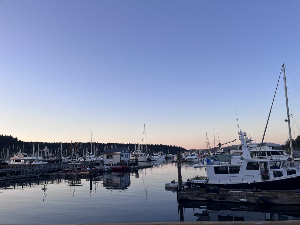 image of boats in a marina 