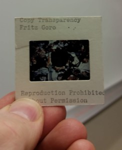 Slide of "Rock 17" thin section, back. Inscription: "Copy Transparency / Fritz Goro / Reproduction Prohibited Without Permission"