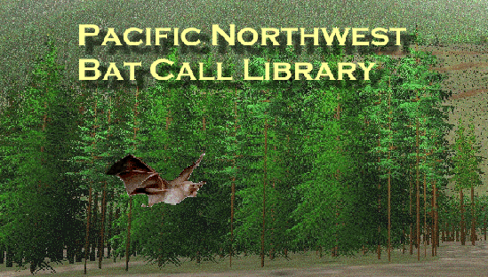 Pacific Northwest Bat Call Library