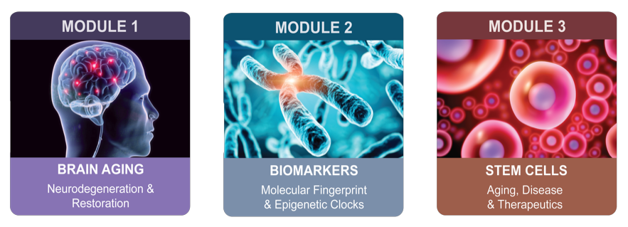 Module 1 is Brain Aging (Neurodegeneration & Restoration), Module 2 is Biomarkers (Molecular Fingerprint & Epigenetic Clocks), and Module 3 is Stem Cells (Aging, Disease, & Therapeutics)
