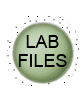 EggLabFiles