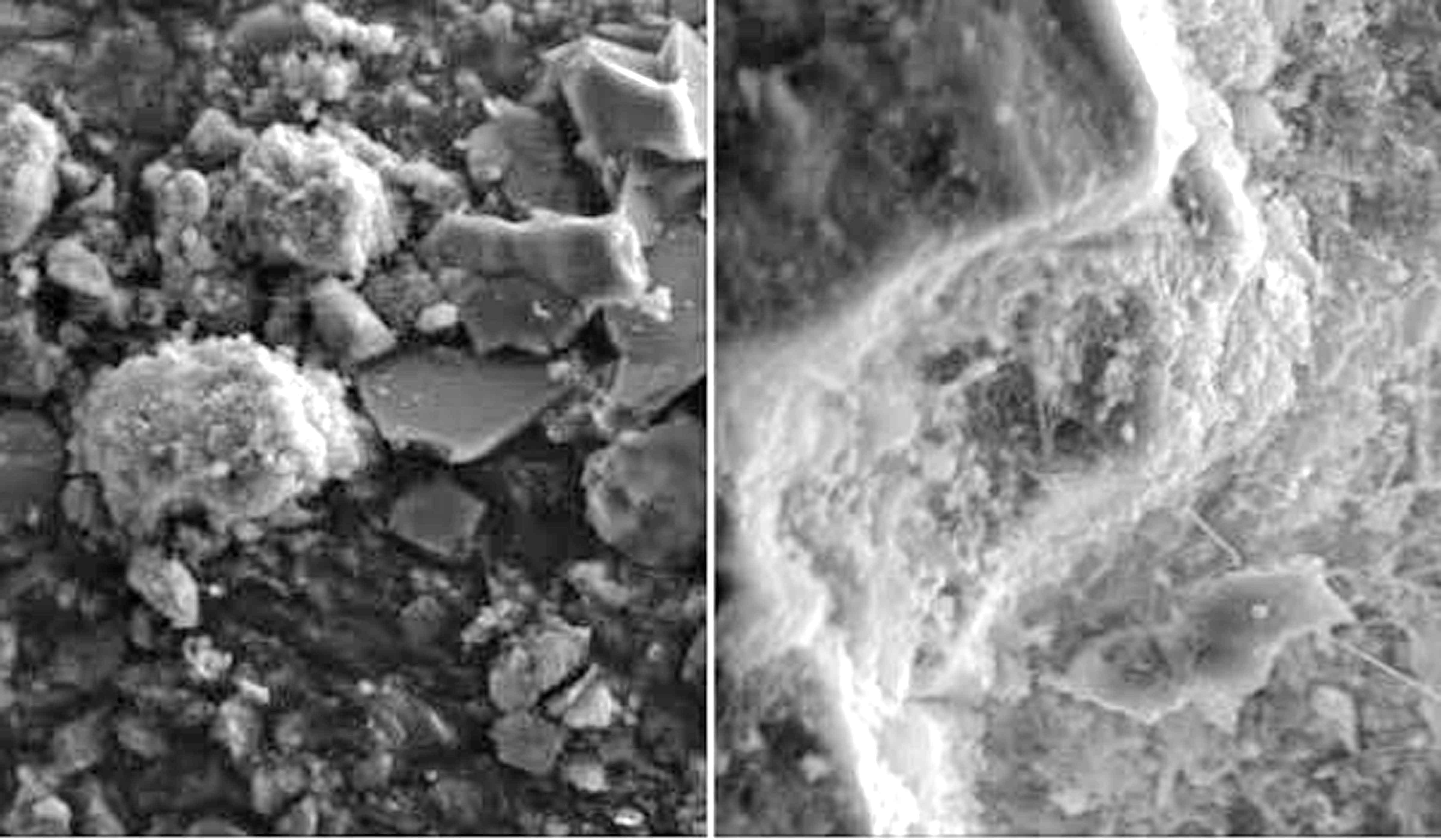 Two photographs show scanning electron microscope images of samples of crushed fines from recycled concrete modified with nano silicon dioxide