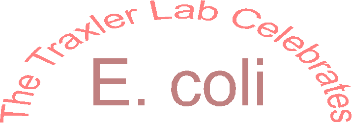 The Traxler Lab Celebrates E. coli