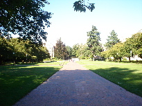 The Quad