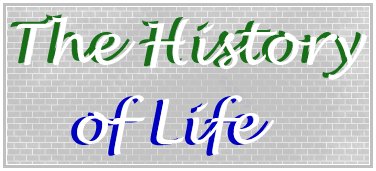 hist.jpg (20970 bytes)