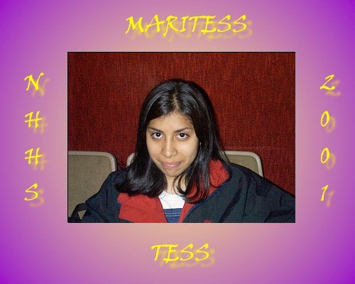 MTess.jpg (34035 bytes)