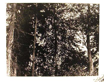 art12