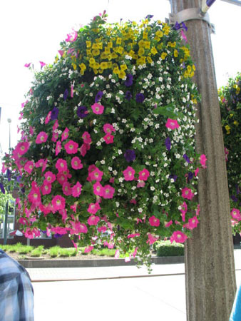 IMG_3760