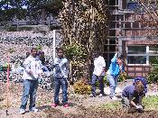 Rain garden construction