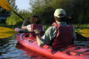 Kayak tour in Washington Park Arboretum