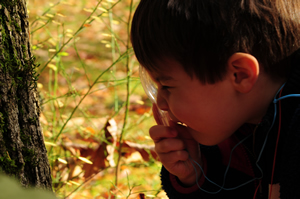 Uw Arboretum Seattle Summer Camp