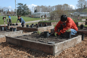 Soo-Hyung Kim & Allison McCarthy plant Climate Change Garden