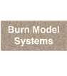Burn Model System Projects
