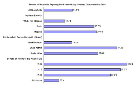 food security by household type
