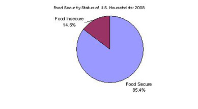 chart 14% households food insecure 2008