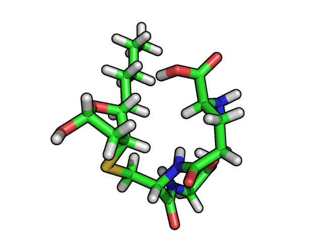 Model of a GSHNE diastereomer based on NMR restraints