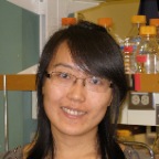 WenxinHu