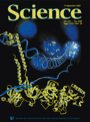 covermed2