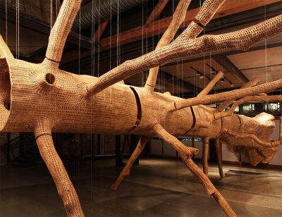 Organic tree form sculpture hanging from the ceiling and filling the entire room. The sculpture is made of wood.