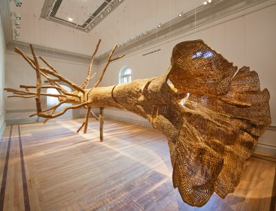 Sculpture of an organic tree form hung from the ceiling of a white walled gallery space. The art piece fills almost the entire room.