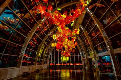 Large blown glass art installation hanging from the ceiling of a glass house structure.