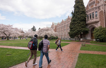 Students walk along a brick path on a University quad, cherry trees and university buildings in the background