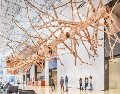Light filled museum lobby featuring a large, organic, tree installation hanging from the ceiling. Small groups of people mill about below in the space.