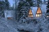 Snow covered A-frame houses, surrounded by snowy trees and foliage.