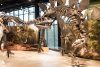 two dinosaur skeletons are displayed in a windowed lobby area. large panels displaying prehistoric nature scenes are behind the skeletons.