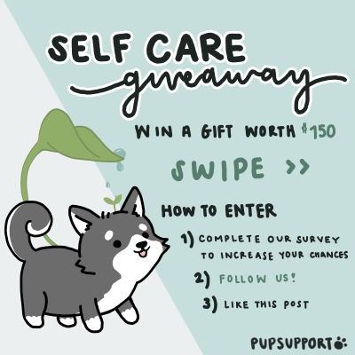 Teal and white background, with a vector illustration of a husky puppy standing underneath a leaf with dew drops falling off. Text reads, "Self Care giveaway; win a gift worth $150. Swipe >>. How to enter. 1) complete our survey to increase your chances. 2) follow us! 3) Like this post.; Pupsupport."