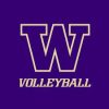 Gold outline "W" above gold text reading "Volleyball" on a purple background