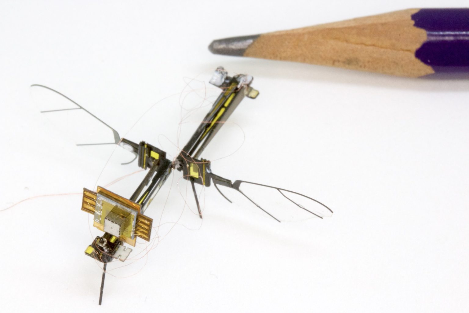 Research UW Autonomous Insect Robotics Laboratory