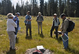 Bunchgrass Ridge: Meadow ecology, restoration, and adaptive management