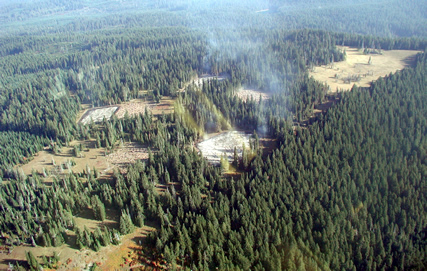 Aerial view of restoration experiment (Photo: Sam Swetland)