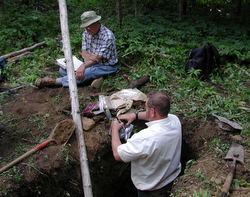 Bunchgrass Ridge: Meadow ecology, restoration, and adaptive management