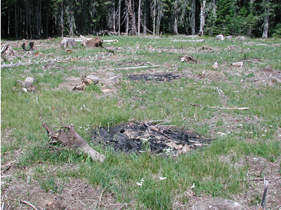 Ground surface-pile burning