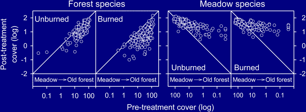 Post- vs. pre-treatment cover of forest and meadow species in subplots