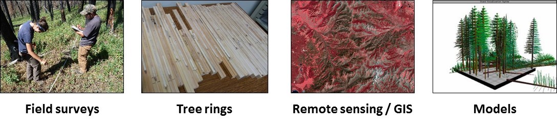 ResearchMethodsApproach_wide