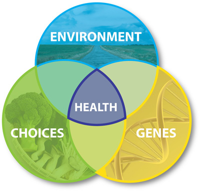 Ecogenetics model graphic